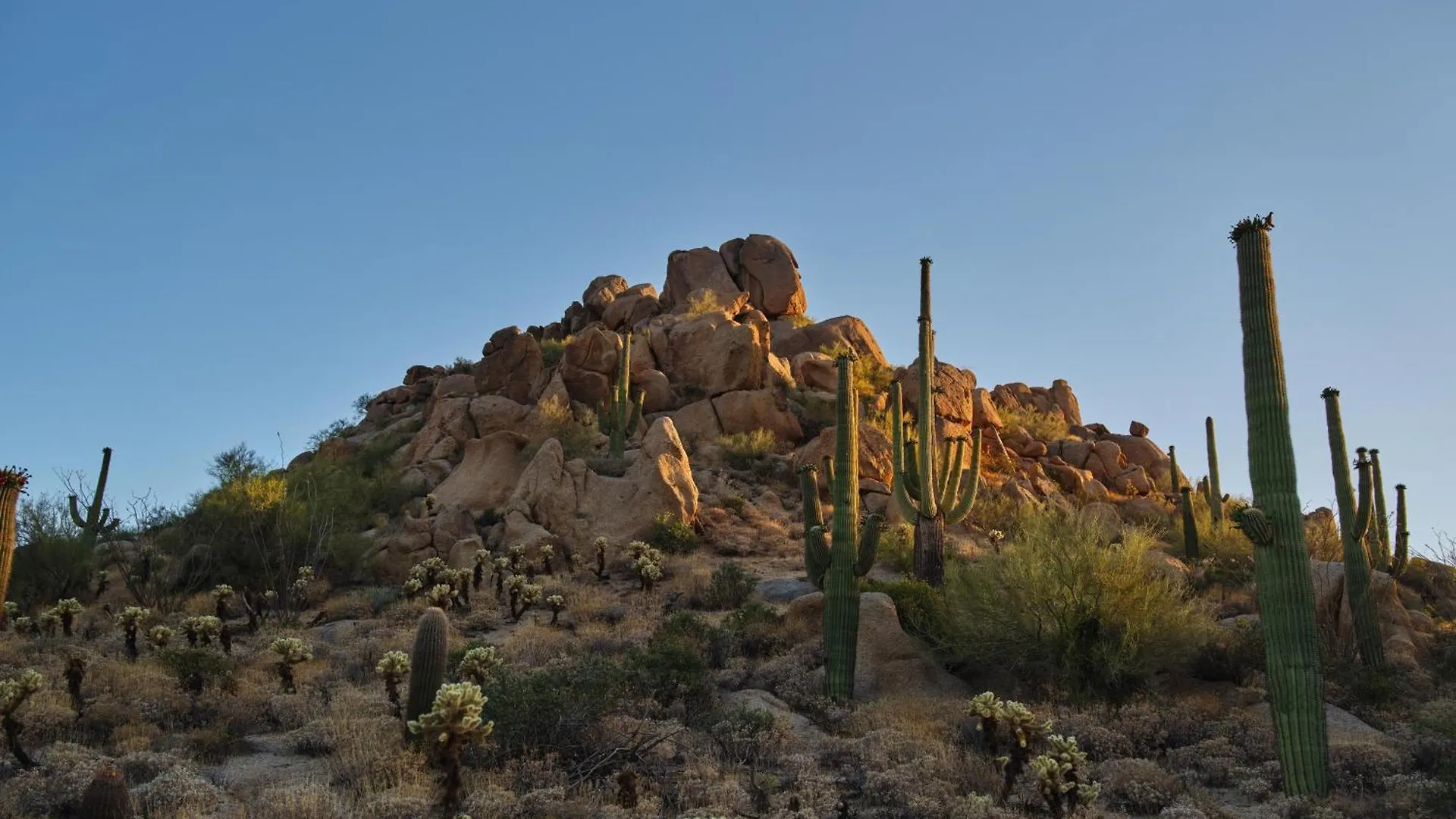 *****  Four Seasons Resort Scottsdale At Troon North США